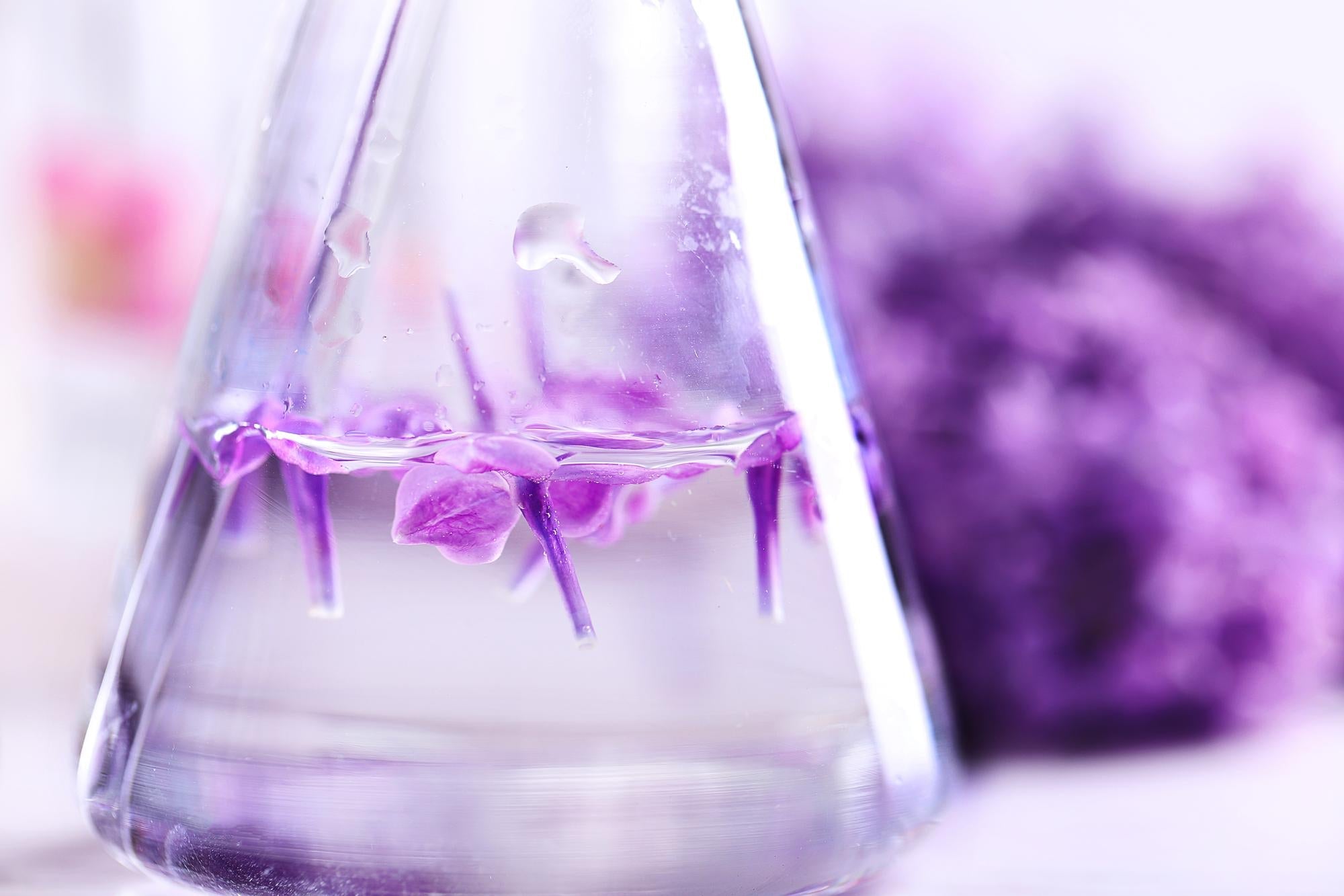 Bakuchiol Nedir? Retinolün Doğal Alternatifi Hakkında Bilimsel Rehber