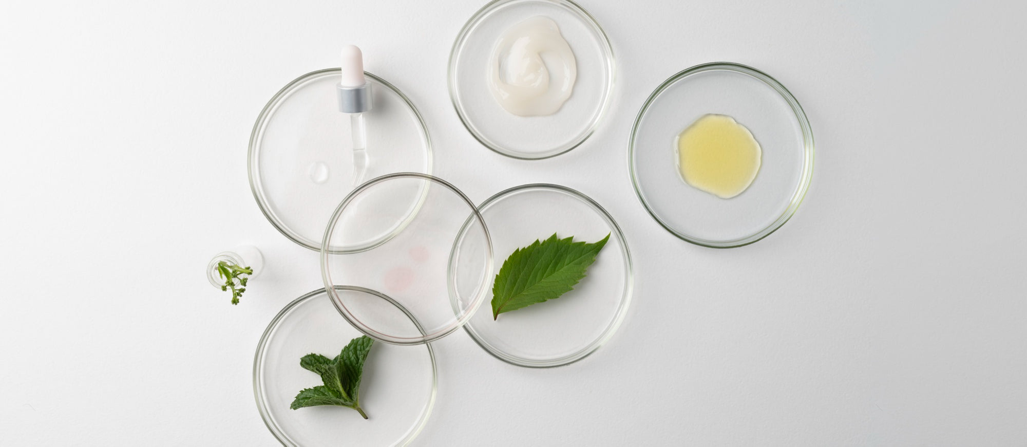 Kozmetik Ürünlerde Koruyucular: Fenoksietanol Güvenli mi? Tüm Koruyucuların Bilimsel Risk Sınıflandırması
