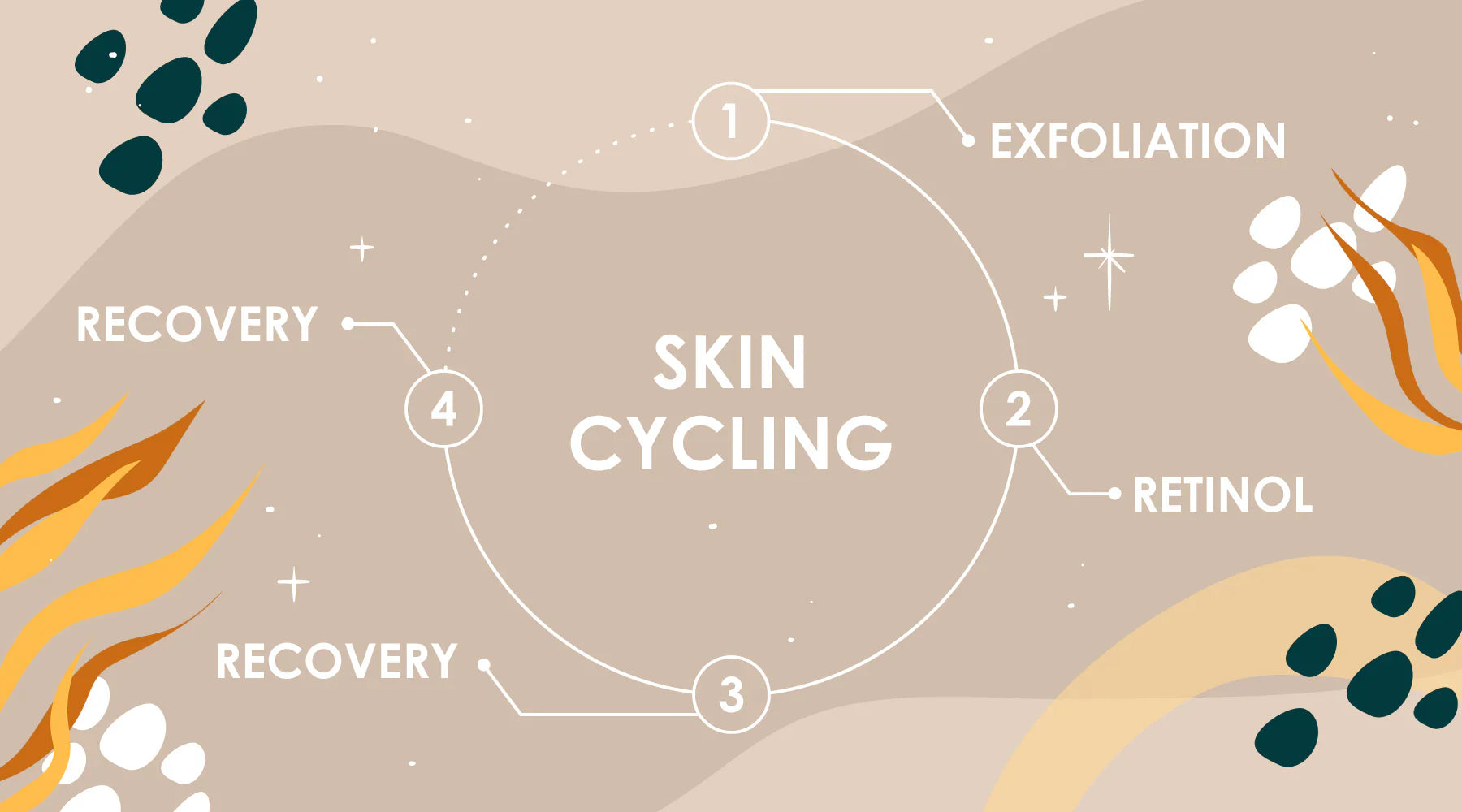Skin Cycling Nedir? 4 Gecelik Bilimsel Rutin