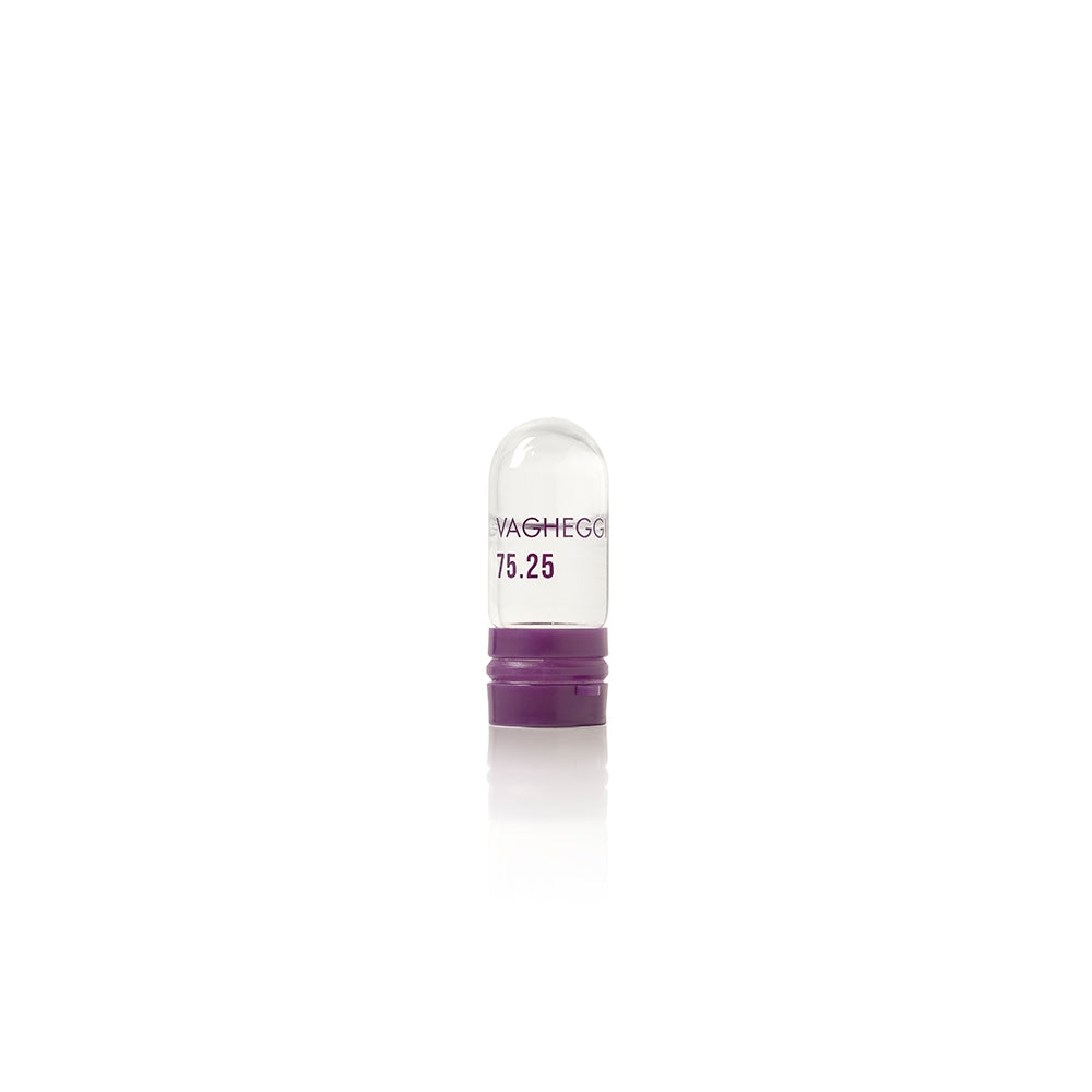 Vagheggi 75.25 Longevity Intensive Treatment Kit