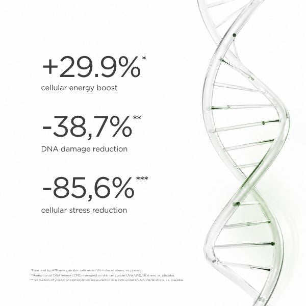 Alphascience Novacell [Cg] ex vivo antioksidan aktivite testi